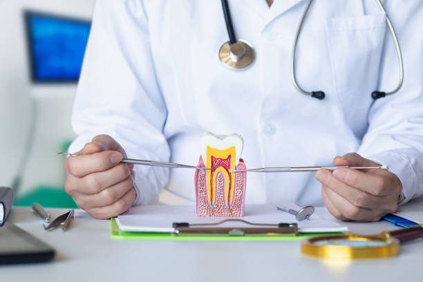 Best Emergency Orthodontic Repairs in Hammond, LA